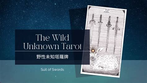 塔羅牌4|塔羅牌寶劍四（Four of Swords）牌義解讀